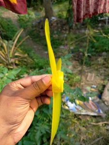 12 Volt Fan Blade