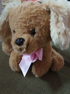 Soft Toy