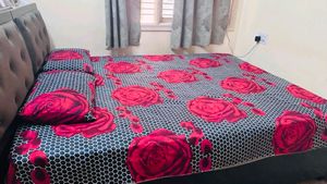 2 Bedsheets