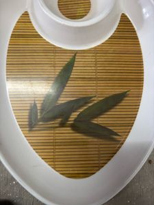 Elegant Melamine Serving Platter with Dip Bowl