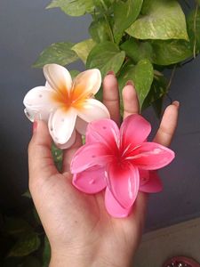 Cute Pinteresty Flower Hair Clips - Set of 2