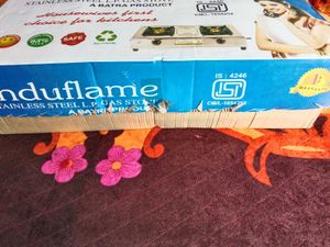 Induflame Stainless Steel Gas Stove