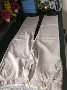 Office Wearing Pant