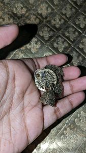 Ethenic Earing