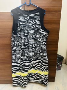 Max Zebra Print Dress
