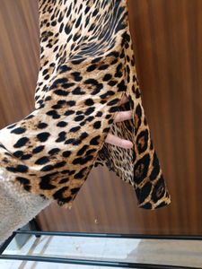 Animal Print Skirt