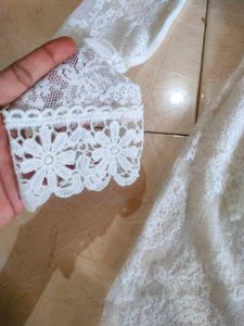 Sheer Net Lace Top🐚🦢🕊️🦪💌🧚
