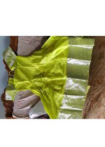 Light Green Organza Gown