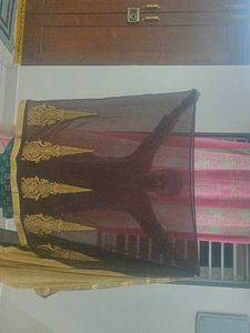 Elegant Beige Saree