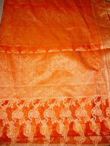 🧡😻 Orange Saree