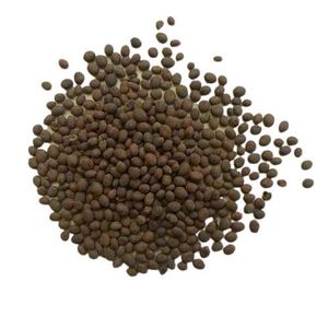 Balsam Flower Seeds Red ♥️