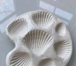 SEASHELL JEWELRY TRINKET