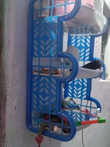 Blue Color