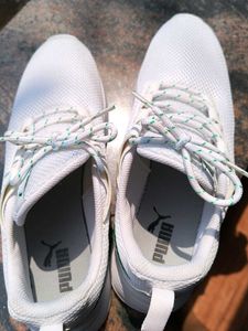 Puma - brand new 100 original
