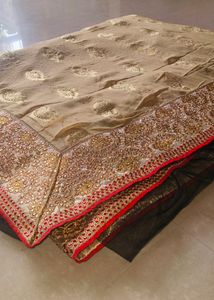 Regal Beige Saree Zardosi and Black Net Accents