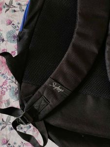 Skybags Backpack