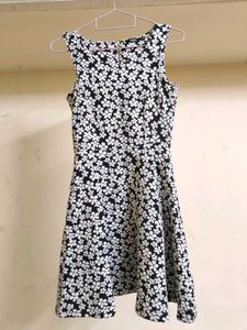Floral Fit & Flare Dress