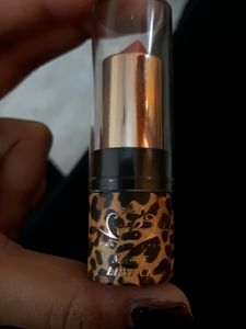 Matte Lipstick