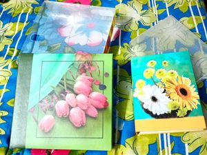Album Book Set Of 2