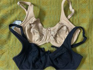 𓃠 Bra Basics Set
