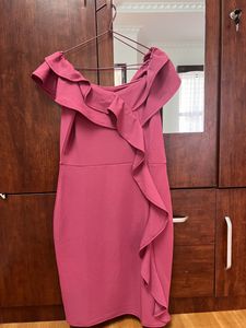 New Bodycon Purple Dress (New With Tag)