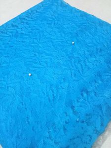 Cyan Net Saree