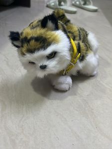 Cute Plush Cat Toy