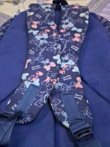 Skybags Backpack