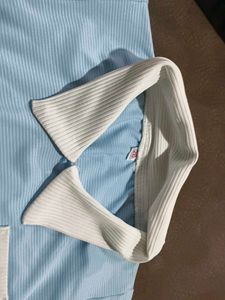 Cute Blue Polo Shirt