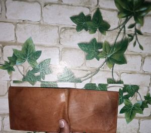 Wood Land Wallet