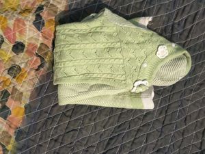 Cute Green Knit