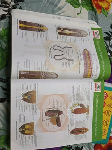 Combo Of MTG NCERT FINGERTIPS BIOLOGY &amp; CHEMISTRY