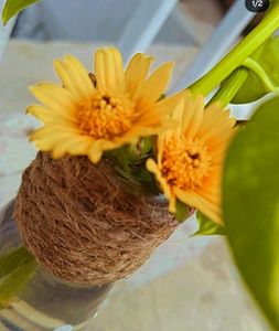 Decorative Bottle