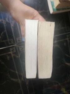 2 Indu Sundaresan Books