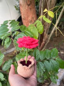 Crochet Rose pot