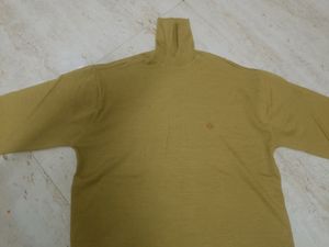 Winter Top