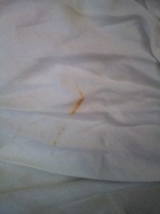 Office Siren White  Fitted Shirt
