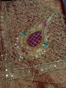 Beautiful Embellished Saree