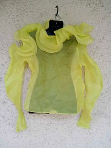 Sheer Ruffle Top