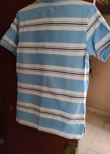 Mens Polo Shirt