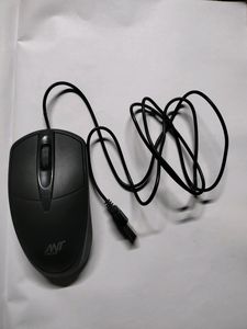 Computer Mouse