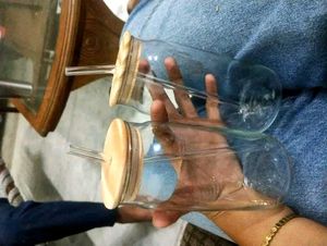 Glass Tumblers with Straws (Set of 2)