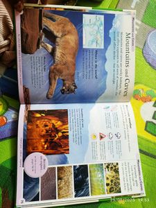 New Nature Encyclopedia