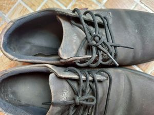 Comfeet Shoes (40)