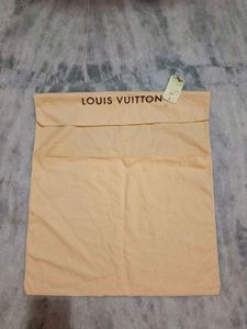 Louis Vuitton Pouch