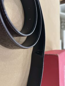 Salvatore Ferragamo Belt With Box