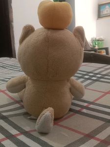 Teddy 🧸🐻