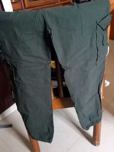 Olive Cargo Pants