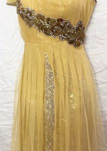Golden Beautiful Zariwork Gown