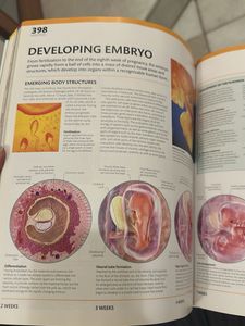 The Complete Human Body